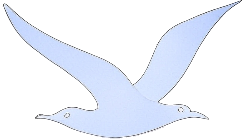 SeaBird Solutions